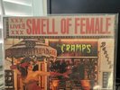 The Cramps Smell of Female LP Live Big Beat 1983 Rockabilly Black Vinyl
