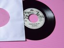 Sex Pistols 7