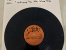 33 Rpm Vinyl Paul Johnson