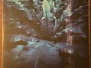Hum - Downward Is Heavenward Vinyl LP Reissue