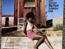 MEL BROWN - Big Foot Country Girl - 1973 Impulse AS-9249 LP Vinyl Record - VG++