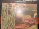 THEORIUS CAMPUS - OMONIMO LP - 1972, IL RARISSIMO 1° LP DI VENDITTI/DE GREGORI