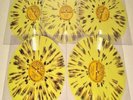 King ELVIS Presley 70th Ann. SUN-SPLATTER  ALL 5 10