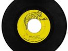 The Dynamic Boys – Any Day Now / Shock Attack PANTHER mp3
