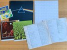 Pink Floyd 1973 Dark Side of the Moon + 1979 The Wall 1st press vinyl LP near mt