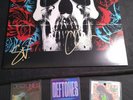 Deftones Self Titled European Vinyl - Signed by Four/Includes 2013 Stage Passes