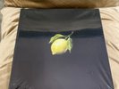 Beyonce How to Make Lemonade, Collector's Edition (Sealed) 2017 Box Set