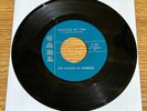 1966 GARAGE PSYCH 45 THE SOUNDS OF RANDALL WASTING MY TIME CARL 101 MINT-