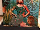 Aquarian Dream - Fantasy LP - Elektra – VINYL