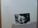 Fleetwood Mac - Tusk (Double LP, 1979, Warner Bros.) 2HS 3350