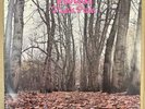 Twink - Think Pink - OG UK Polydor LP + Insert - Psych Rock Rarity  - CLIP