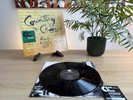 Counting Crows August and Everything After Vinyl (LP 180g 2013 Back To Black) NM