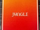 Jungle Volcano ZOETROPE NUMBERED LTD/ED Vinyl Picture Disc plus Inserts All Mint