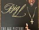 Big L The Big Picture (1974-1999) RWK 1178 OG 2X LP w/insert VG+
