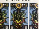 Rusted Root - When I Woke (Mint (M)) Rock, Folk World & Country (2xLP, Album, Lt