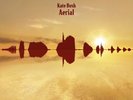Aerial (2018 Remaster) by Kate Bush (Vinyl 2023)