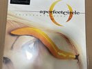 Thirteenth Step by Perfect Circle (Record, 2014)