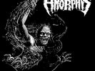 Amorphis Privilege Of Evil (Vinyl)