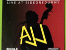 AJJ -Decade of Regression Live at SideOneDummy LP Folk Punk Andrew Jackson Jihad
