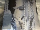 Diamonds and Pearls 12 LP Super Deluxe Prince & New Power Generation New Sealed