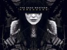The Dead Weather Horehound (Vinyl) 12