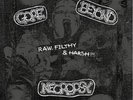 Gore Beyond Necropsy – Raw, Filthy & Harsh  (Diehard 2 with Slipmat) F.O.A.D.
