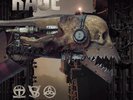 Rage Unity (Vinyl) 12