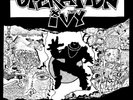 Operation Ivy Energy (Vinyl) 12