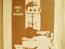 JAMES LEE MEADOWS Self Titled LP Private Label ST GEORGE Boston Folk Psych 1971