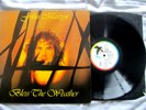 John Martyn – Bless The Weather - Vinyl LP original 1971 - ILPS 9167 EX / EX
