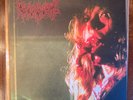 REGURGITATE Torture Sessions RARE OOP SPLATTER vinyl LP FOAD goregrind metal