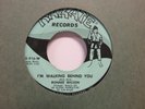 Ronnie Wilson I'm Walking Behind You/Boy In A Crowd Northern Soul 7