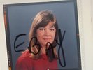 SUBLIME EKTA ORIGINAL FRANÇOISE HARDY# 3