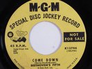 Garage Psych 45 BEETHOVEN'S FIFTH Come Down MGM promo HEAR m