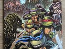Teenage Mutant Ninja Turtles 2 Shredder Variant Vinyl LP Waxwork Soundtrack
