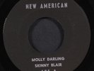 SKINNY BLAIR: molly darling / ties that bind NEW AMERICAN 7