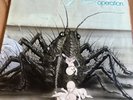 Birth Control Operation 1971 German 1st Pressing  OHR Lp Good+-VG-