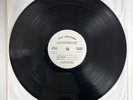 The Edgar Winter Group- They Only Come Out At Night Vinyl 12