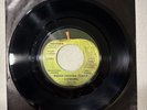 Radha Krishna Temple Govinda Apple Promo 45 NM