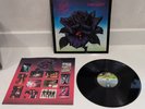 Thin Lizzy - Black Rose 12