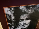 George Harrison The Collection Vinyl Box Set New 18 LPs The Beatles 180 Gram