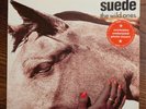 Suede - The Wild Ones - 12