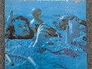 AIRTO 'SEEDS ON THE GROUND' MINT 1ST EDITION  CREATIVE & ADVENTUROUS LATIN JAZZ