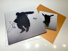 Signed | Del Water Gap - Chasing The Chimera - Clear Vinyl