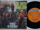 FLEETWOOD MAC The Green Manalishi STUNNING COND rare Norway 45 norwegian LISTEN