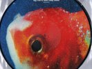 Vince Staples ‎– Big Fish Theory - Picture Disc Vinyl