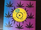 1969 Maytones - Loving Reggae / Roy Samuel - Musical Beat (BS 152) 7