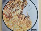 MEGADETH - SELF TITLED - LIMITED EDITION  TEST PRESS VINYL 2X LP PICTURE DISC