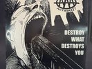 Against All Authority Destroy What Destroys You LP Far Out Record Vinyl Punk Ska