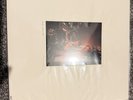 Fred Again peace u need (sydney opera house) Vinyl LP